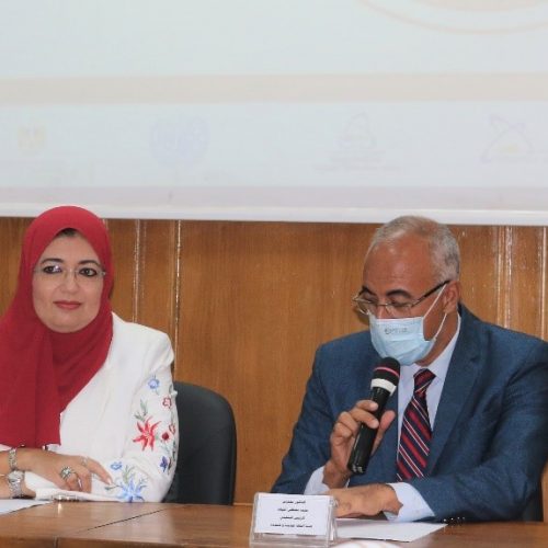 UNIDO in cooperation with the New and Renewable Energy Authority (NREA) Launch the Virtual platform “Solar Water Heating Egypt (SWH)”